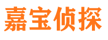 兴山市私家侦探